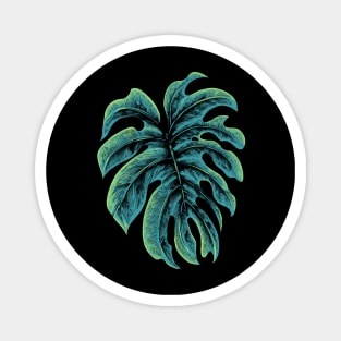 Monstera Magnet